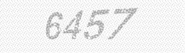 Visual security code — type the characters shown in the image